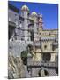 Pena National Palace, Sintra, UNESCO World Heritage Site, Portugal, Europe-Amanda Hall-Mounted Photographic Print