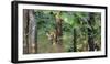 Pench National Park-Art Wolfe-Framed Photographic Print