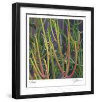 Pencil Cactus 2-Ken Bremer-Framed Limited Edition