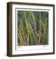 Pencil Cactus 2-Ken Bremer-Framed Limited Edition