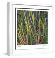 Pencil Cactus 2-Ken Bremer-Framed Limited Edition