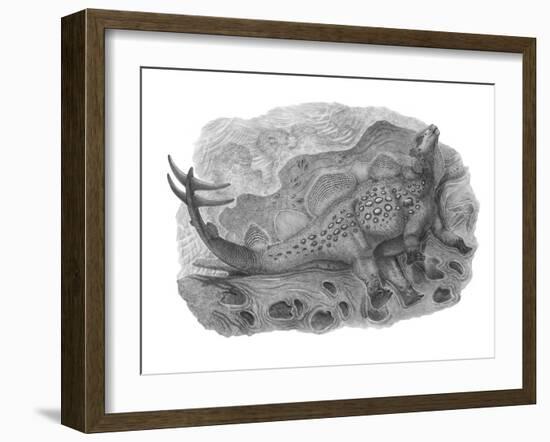 Pencil Drawing of Hesperosaurus Mjosi-null-Framed Art Print