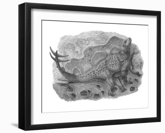 Pencil Drawing of Hesperosaurus Mjosi-null-Framed Art Print