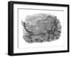 Pencil Drawing of Hesperosaurus Mjosi-null-Framed Art Print