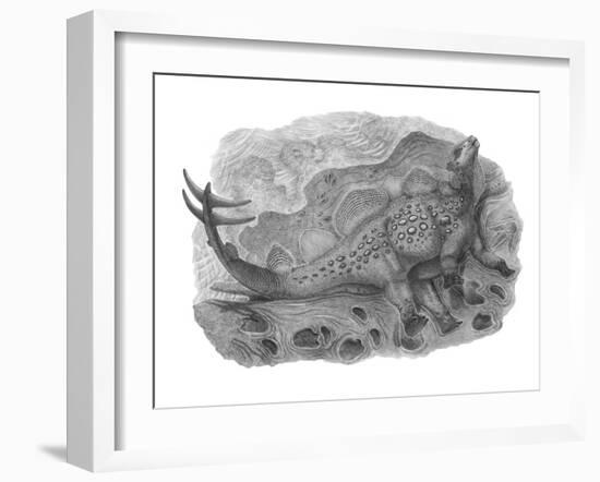 Pencil Drawing of Hesperosaurus Mjosi-null-Framed Art Print