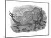 Pencil Drawing of Hesperosaurus Mjosi-null-Mounted Art Print