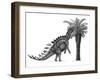 Pencil Drawing of Miragaia Longicollum Feeding on a Cycad Tree-null-Framed Art Print