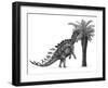 Pencil Drawing of Miragaia Longicollum Feeding on a Cycad Tree-null-Framed Art Print