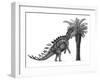 Pencil Drawing of Miragaia Longicollum Feeding on a Cycad Tree-null-Framed Art Print