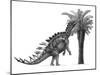 Pencil Drawing of Miragaia Longicollum Feeding on a Cycad Tree-null-Mounted Art Print