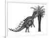 Pencil Drawing of Miragaia Longicollum Feeding on a Cycad Tree-null-Framed Art Print