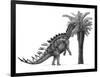 Pencil Drawing of Miragaia Longicollum Feeding on a Cycad Tree-null-Framed Art Print