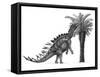 Pencil Drawing of Miragaia Longicollum Feeding on a Cycad Tree-null-Framed Stretched Canvas