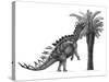 Pencil Drawing of Miragaia Longicollum Feeding on a Cycad Tree-null-Stretched Canvas