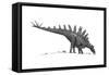 Pencil Drawing of Tuojiangosaurus Trying to Ingest Small Rocks-null-Framed Stretched Canvas