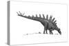 Pencil Drawing of Tuojiangosaurus Trying to Ingest Small Rocks-null-Stretched Canvas