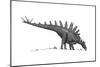 Pencil Drawing of Tuojiangosaurus Trying to Ingest Small Rocks-null-Mounted Art Print