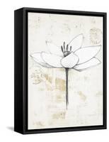 Pencil Floral I Gold-Avery Tillmon-Framed Stretched Canvas