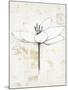 Pencil Floral I Gold-Avery Tillmon-Mounted Art Print