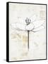 Pencil Floral I Gold-Avery Tillmon-Framed Stretched Canvas