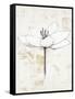 Pencil Floral I Gold-Avery Tillmon-Framed Stretched Canvas