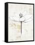 Pencil Floral I Gold-Avery Tillmon-Framed Stretched Canvas