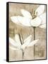 Pencil Floral I-Avery Tillmon-Framed Stretched Canvas