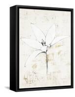 Pencil Floral XII Gold-Avery Tillmon-Framed Stretched Canvas