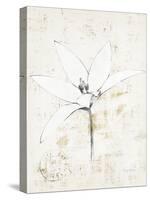 Pencil Floral XII Gold-Avery Tillmon-Stretched Canvas