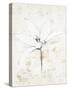 Pencil Floral XII Gold-Avery Tillmon-Stretched Canvas