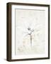 Pencil Floral XII Gold-Avery Tillmon-Framed Art Print