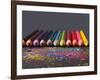 Pencils On Dark Background-vesnacvorovic-Framed Photographic Print