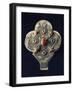 Pendant in Embossed Silver and Coral, Morocco-null-Framed Giclee Print