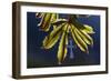 Pendant with cross on a young green chestnut leaf at springtime-null-Framed Giclee Print