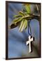 Pendant with cross on a young green chestnut leaf at springtime-null-Framed Giclee Print