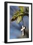 Pendant with cross on a young green chestnut leaf at springtime-null-Framed Giclee Print