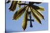 Pendant with cross on a young green chestnut leaf at springtime-null-Stretched Canvas