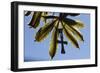 Pendant with cross on a young green chestnut leaf at springtime-null-Framed Premium Giclee Print