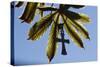 Pendant with cross on a young green chestnut leaf at springtime-null-Stretched Canvas