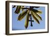 Pendant with cross on a young green chestnut leaf at springtime-null-Framed Giclee Print