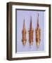 Pendants for Gold Zoomorphic Motifs Necklace Originating from Colombia-null-Framed Giclee Print