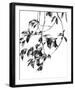 Pendent Noir-Jackie Battenfield-Framed Giclee Print