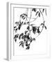 Pendent Noir-Jackie Battenfield-Framed Giclee Print