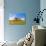 Pendents Castle, Falmouth, Cornwall, England, United Kingdom, Europe-Kav Dadfar-Stretched Canvas displayed on a wall