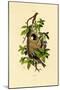 Penduline Tit, 1833-39-null-Mounted Giclee Print