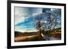 Penedes Vineyards-Pep Ventosa-Framed Art Print