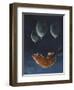 Penelope and the Airship-Jamin Still-Framed Giclee Print