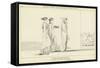 Penelope Carrying the Bow of Ulysses to the Suitors-John Flaxman-Framed Stretched Canvas