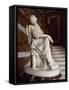 Penelope, Marble Statue, 1849-Pierre Jules Cavelier-Framed Stretched Canvas