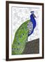 Penelope Peacock-Blenda Tyvoll-Framed Giclee Print